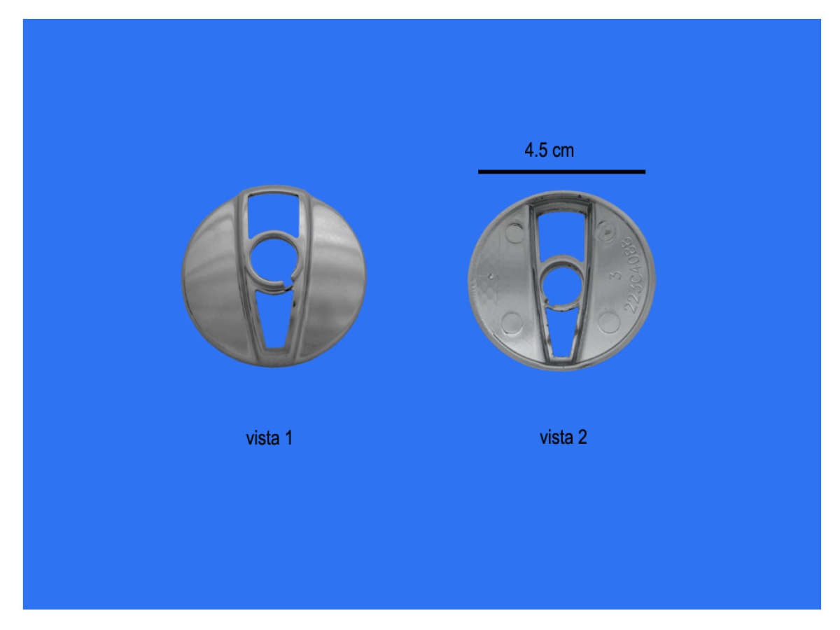223C4088P010.jpg