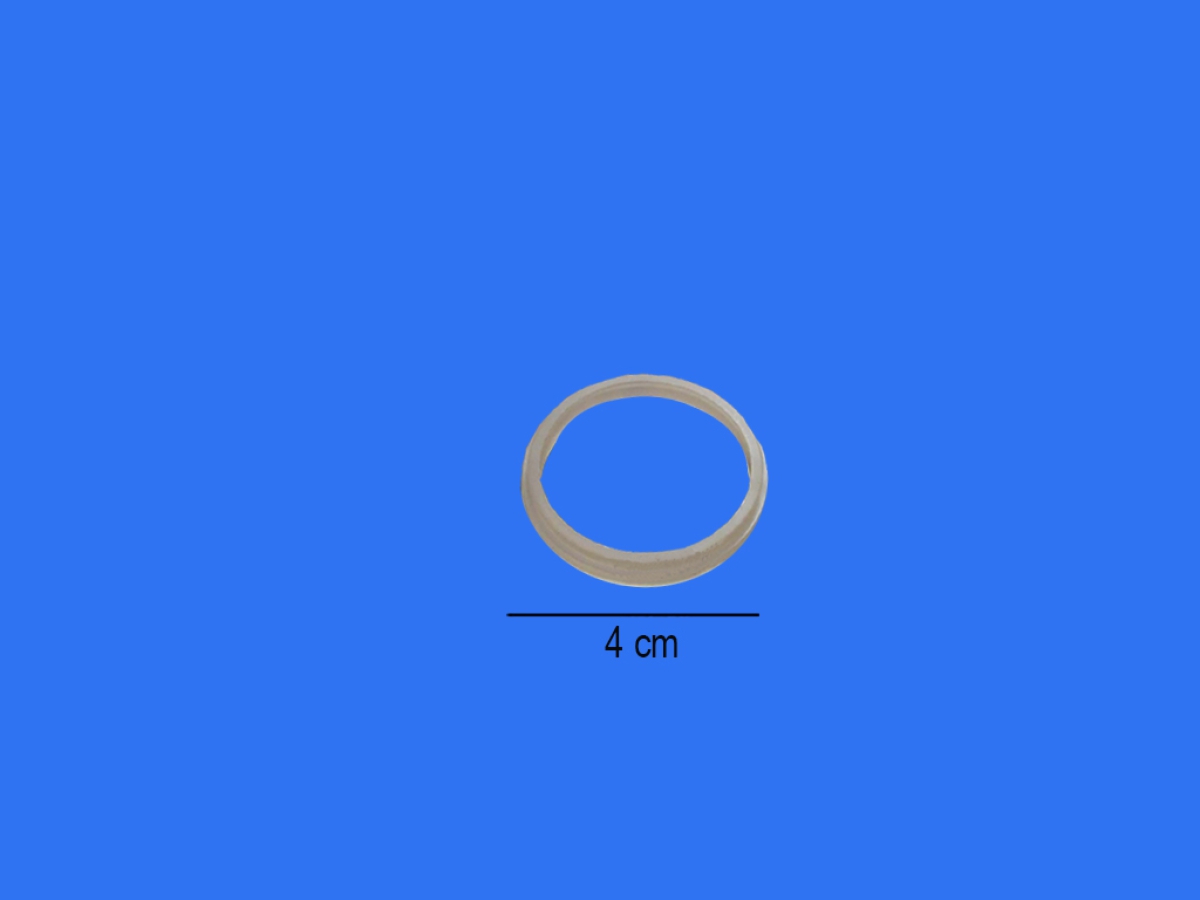 3369029.jpg